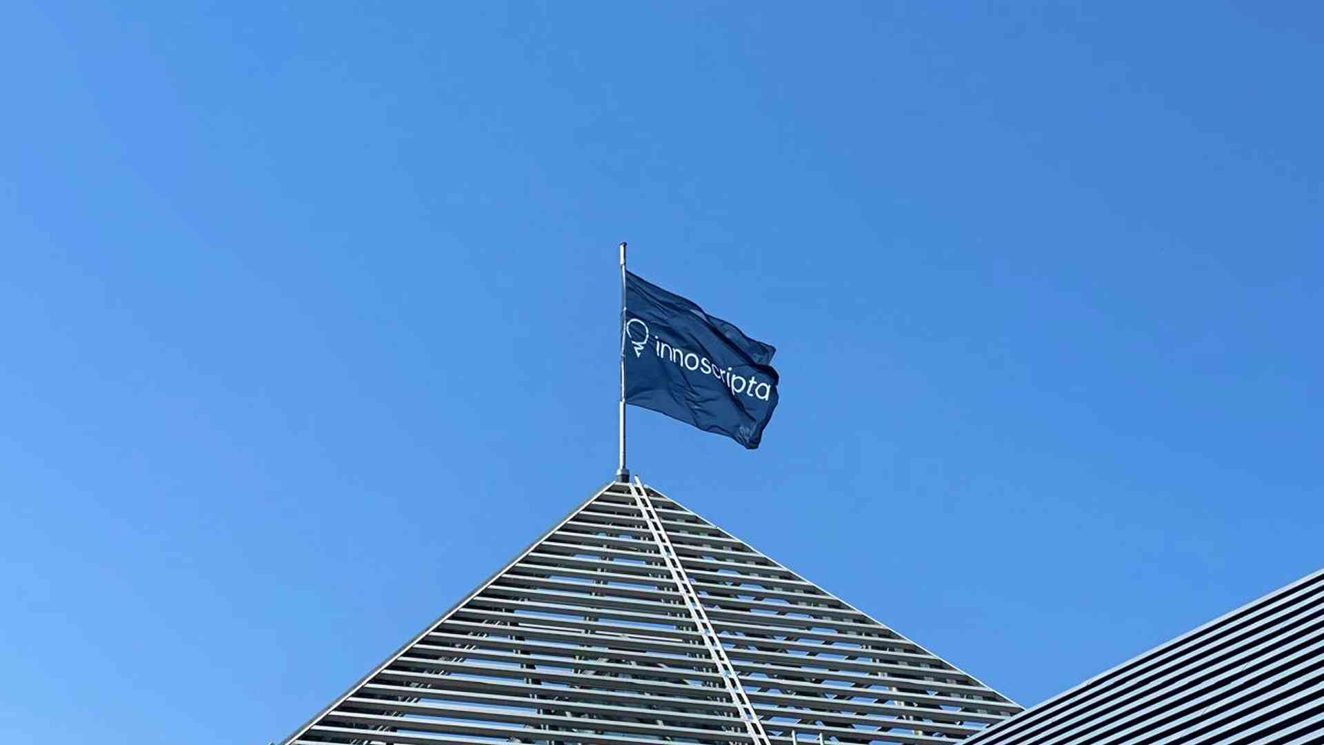 Founders Plan Selective Share Purchases to Support Share Price